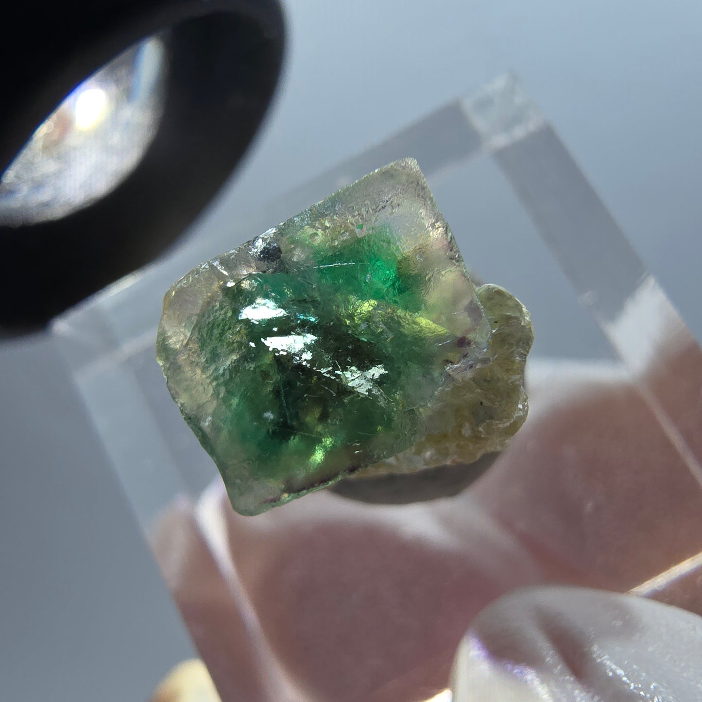 Fluorite fantôme, Tourmaline Schörl, Stade muscovite Erongo, Namibie 13*12*11mm #12333