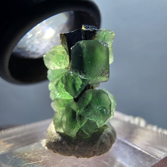 Phantom Fluorit, Schörl Turmalin, Muskovit Stufe Erongo, Namibia 19*12*11mm #12336