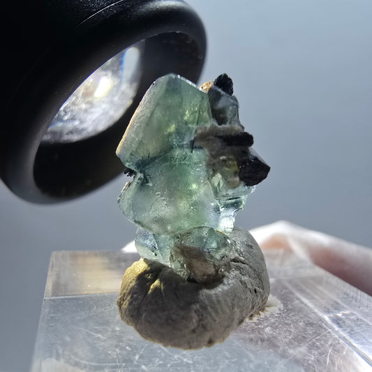 Phantom Fluorit, Schörl Turmalin, Muskovit Stufe Erongo, Namibia 15*10*12mm #12338