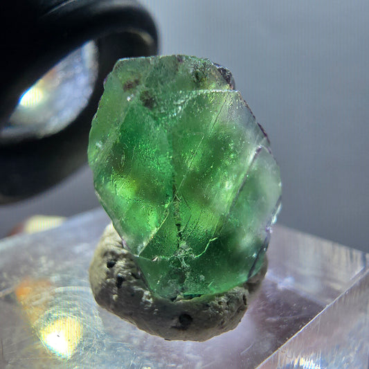 Seltener Phantom Fluorit Würfel Kristall, grün lila Erongo, Namibia 16*11*9mm #12342