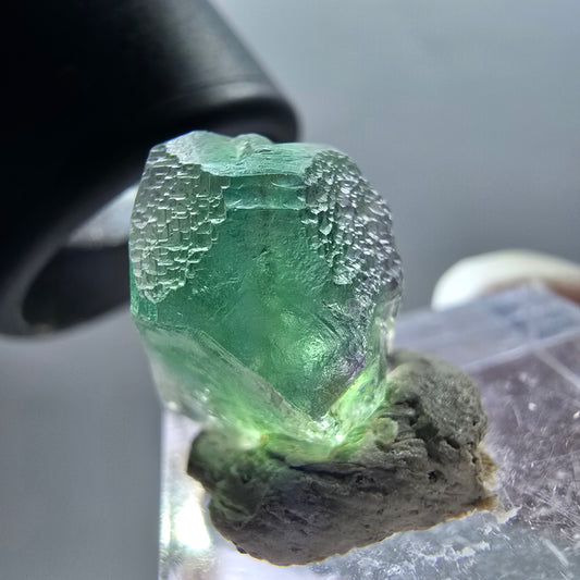 Seltene Phantom Fluorit, Muskovit Stufe Erongo, Namibia 15*13*12mm #12344