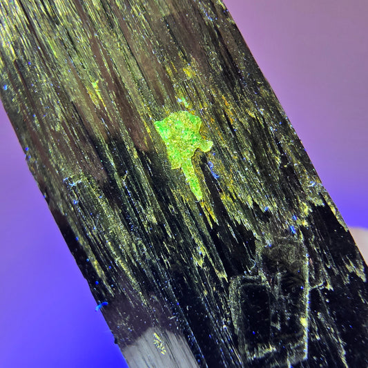 Rare Schorl Tourmaline with Hyalite Opal Erongo, Namibia 52*20*20mm #12443
