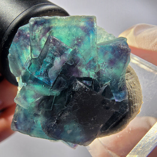 Phantom Fluorit Würfel Stufe, blau Butterfly Pocket, Okorusu, Namibia 32*28*13mm #12516