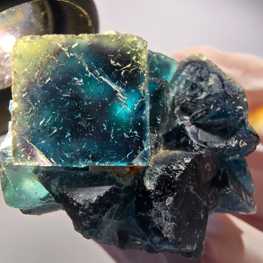 Phantom Fluorit Würfel Stufe, blau Butterfly Pocket, Okorusu, Namibia 41*33*22mm #12517