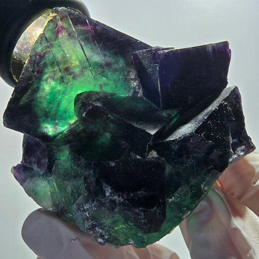 Seltene Phantom Fluorit Würfel Stufe, grün lila Okorusu, Namibia 69*61*45mm #12670