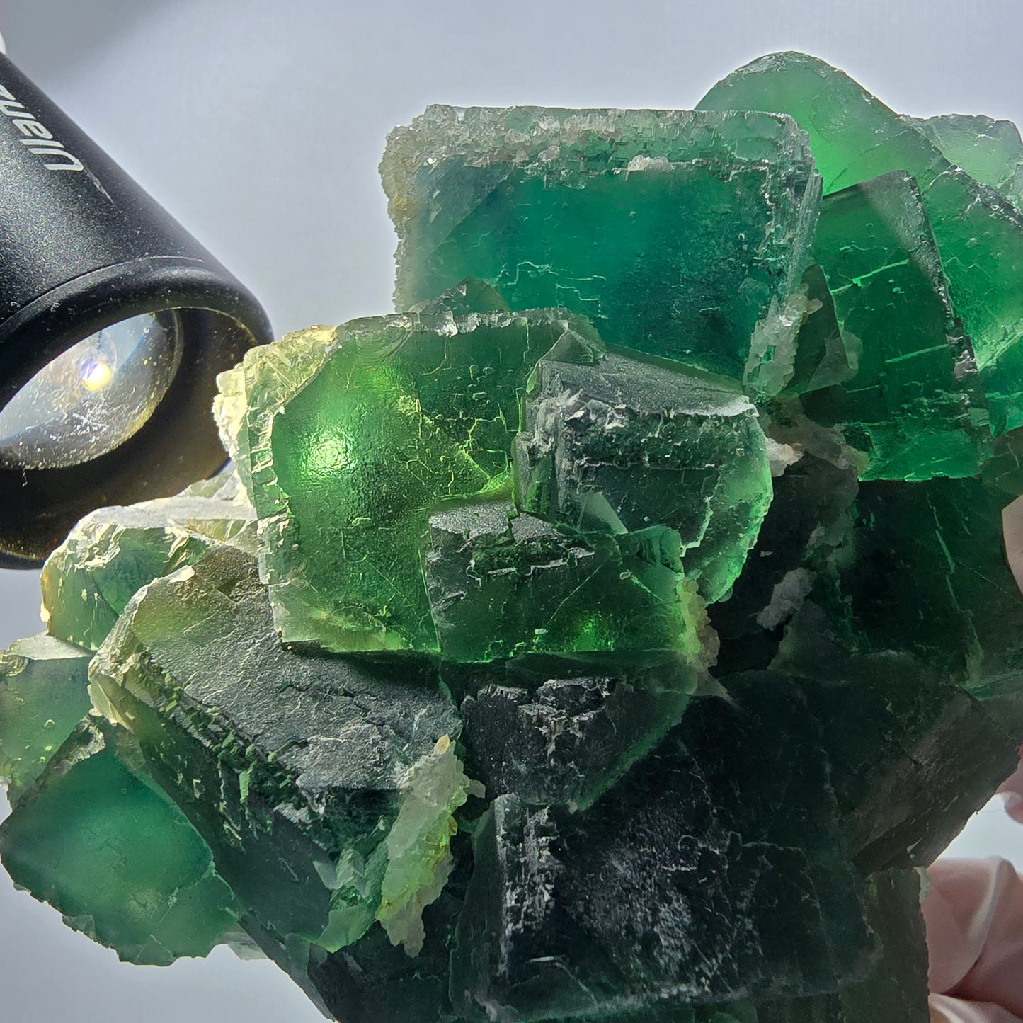 Grand fantôme de fluorine, matrice de quartz, inclusions vertes Okorusu Namibie 100*77*37mm #12673