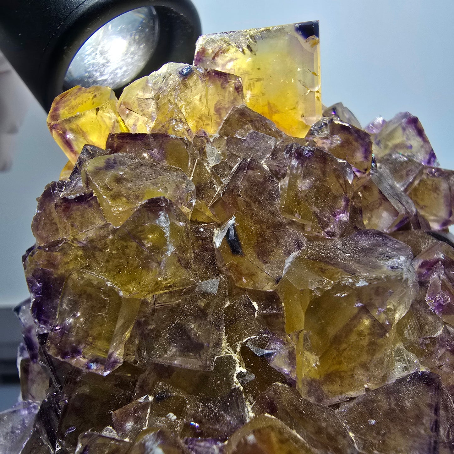Grande étagère à cubes de fluorite fantôme, jaune violet Okorusu, Namibie 115*86*55mm #12683