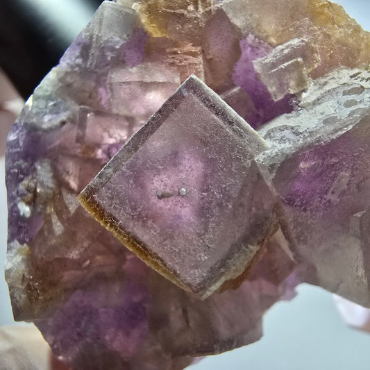 Phantom Fluorit Würfel Stufe, lila gelb weiß Brandberg, Namibia 56*42*21mm #12810
