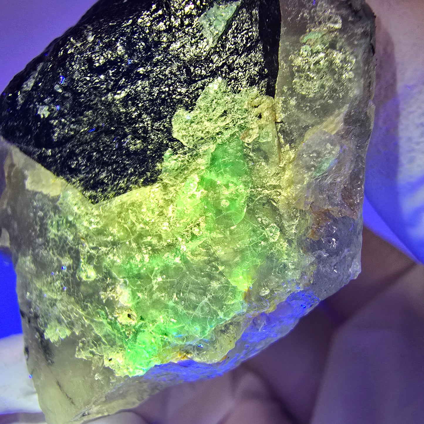 Quartz enfumé squelette enhydro, schorl, hyalite, 2x bulles (grandes) Erongo, Namibie 76*44*34mm #12837