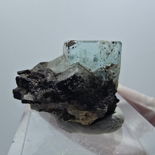 Klarer Aquamarin X Kristall mit Schörl Turmalin Erongo, Namibia 22*17*16mm #12907