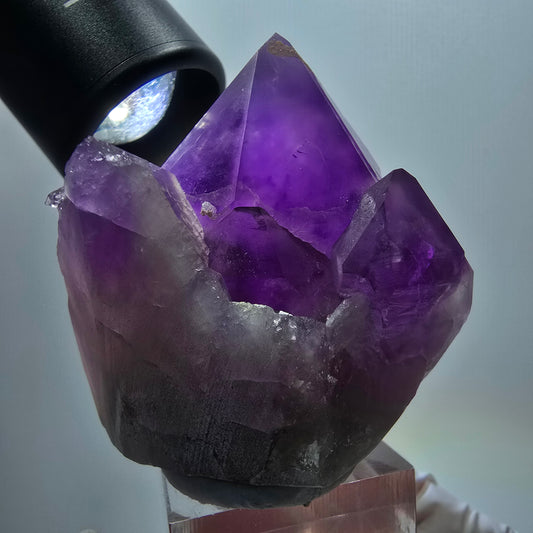 Seltene Skelett Phantom Amethyst Zepter Stufe Goboboseb, Namibia 49*52*41mm #12957
