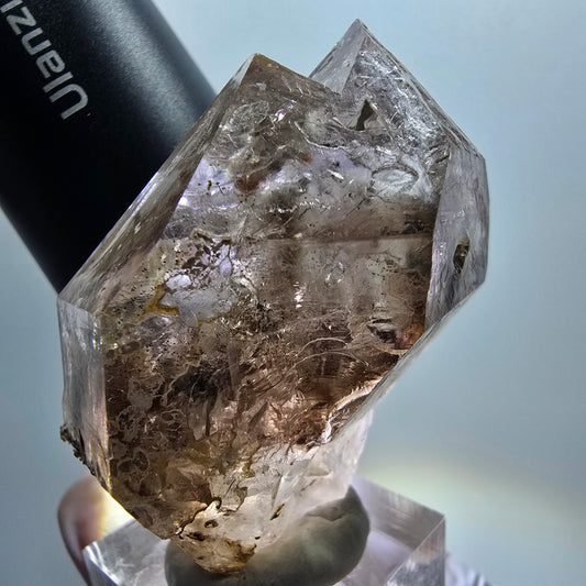 Enhydro Skelett Phantom Rauchquarz Zepter, 3x Blase (große) Goboboseb, Namibia 57*43*34mm #12976