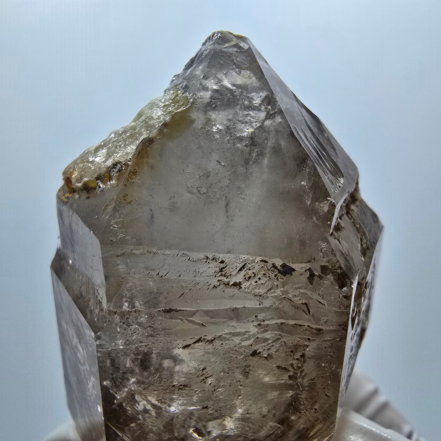 Enhydro Skelett Phantom Rauchquarz DT Zepter, 2x Blase Goboboseb, Namibia 61*41*32mm #12981