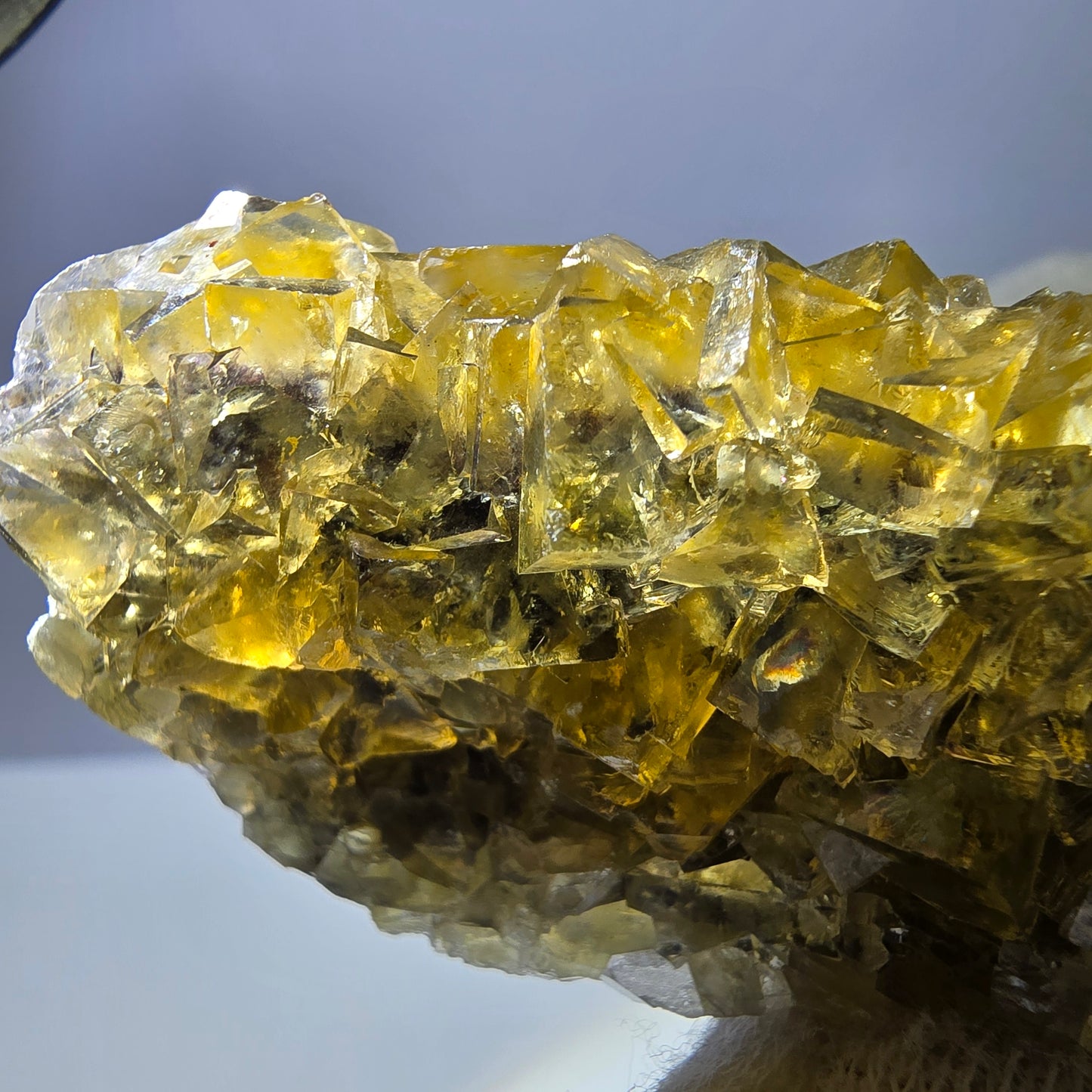 Grand spécimen de cube de fluorite fantôme, poche jaune miel, Okorusu, Namibie, 101 x 30 x 34 mm