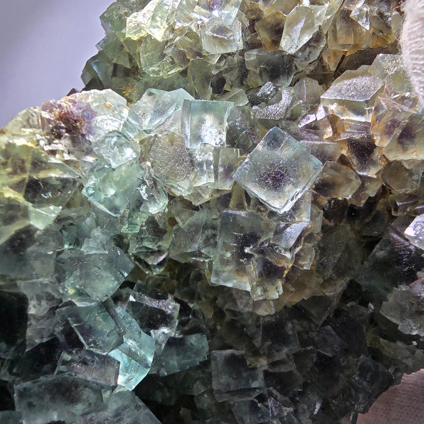 Spécimen de cube de fluorite fantôme XL, parqueté, vert violet Okorusu, Namibie 181*124*74mm