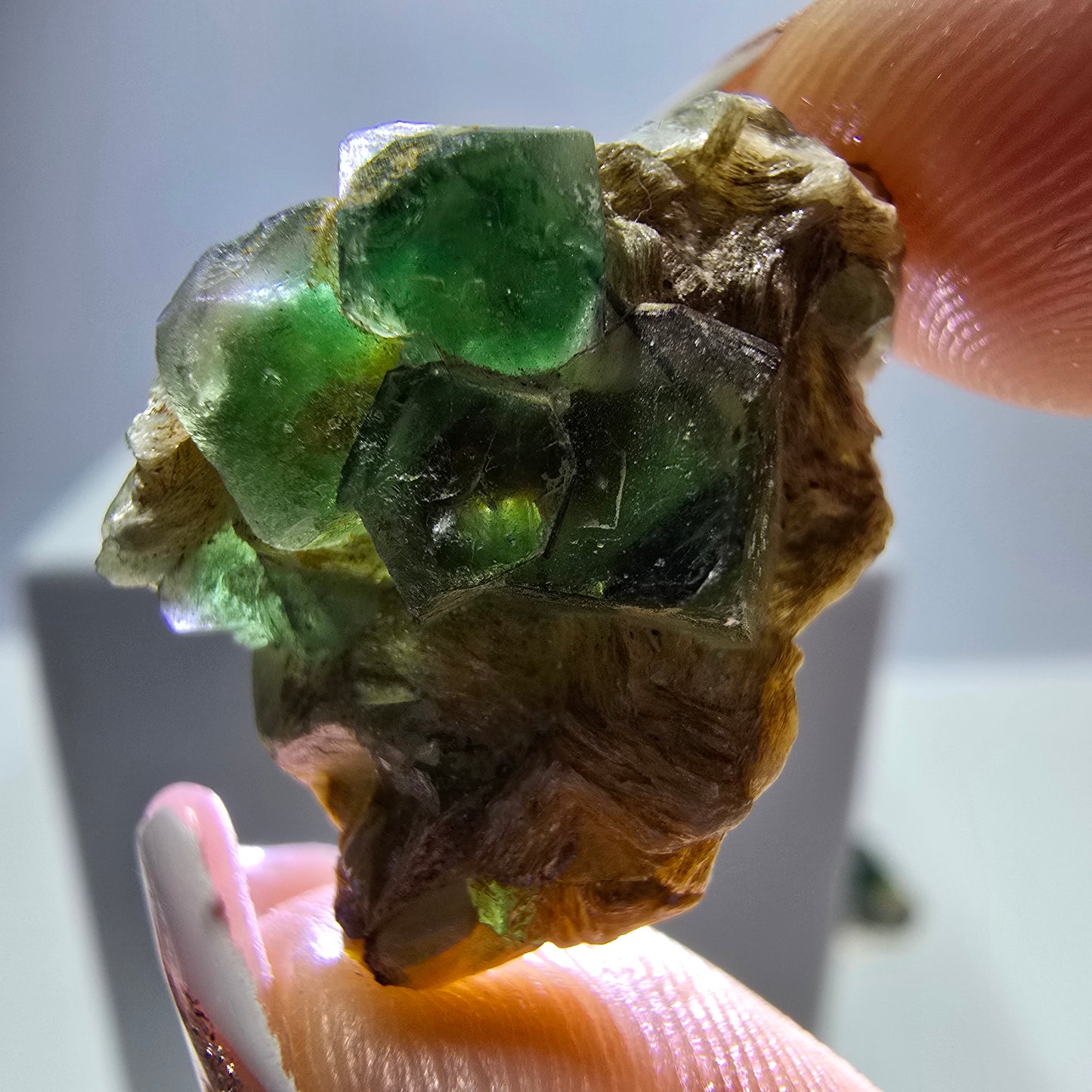 Lot de 16 marches en fluorite fantôme, hyalite, tourmaline Schörl, muscovite, Erongo, Namibie