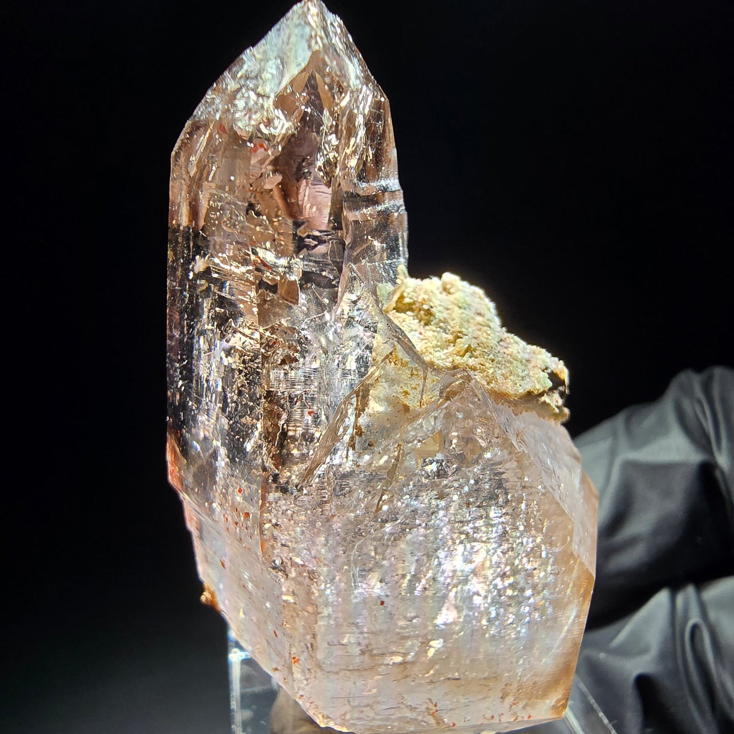 Klare Phantom Rauchquarz Zepter Spitze Goboboseb, Namibia 50*32*23mm Sammlung