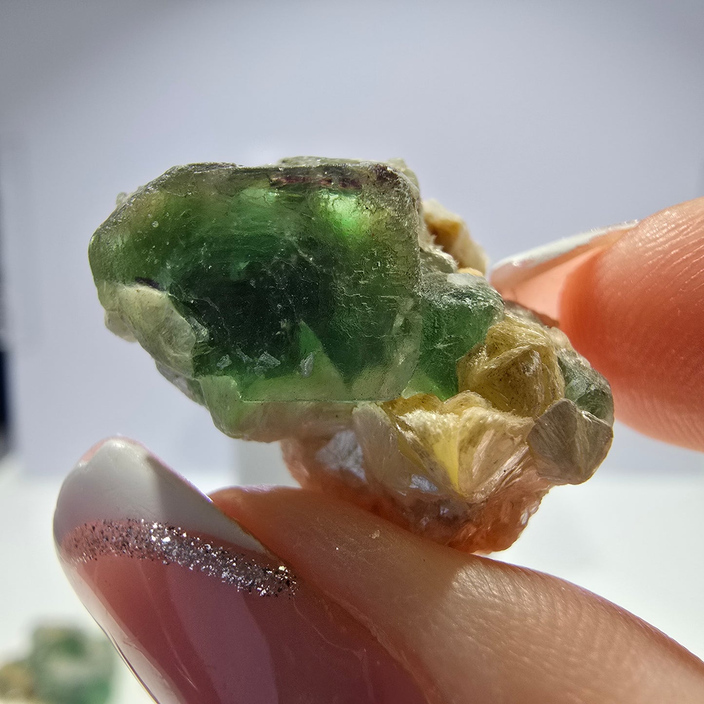 Lot de 16 tourmalines Schörl, fluorite fantôme, hyalite, stade muscovite, Erongo, Namibie