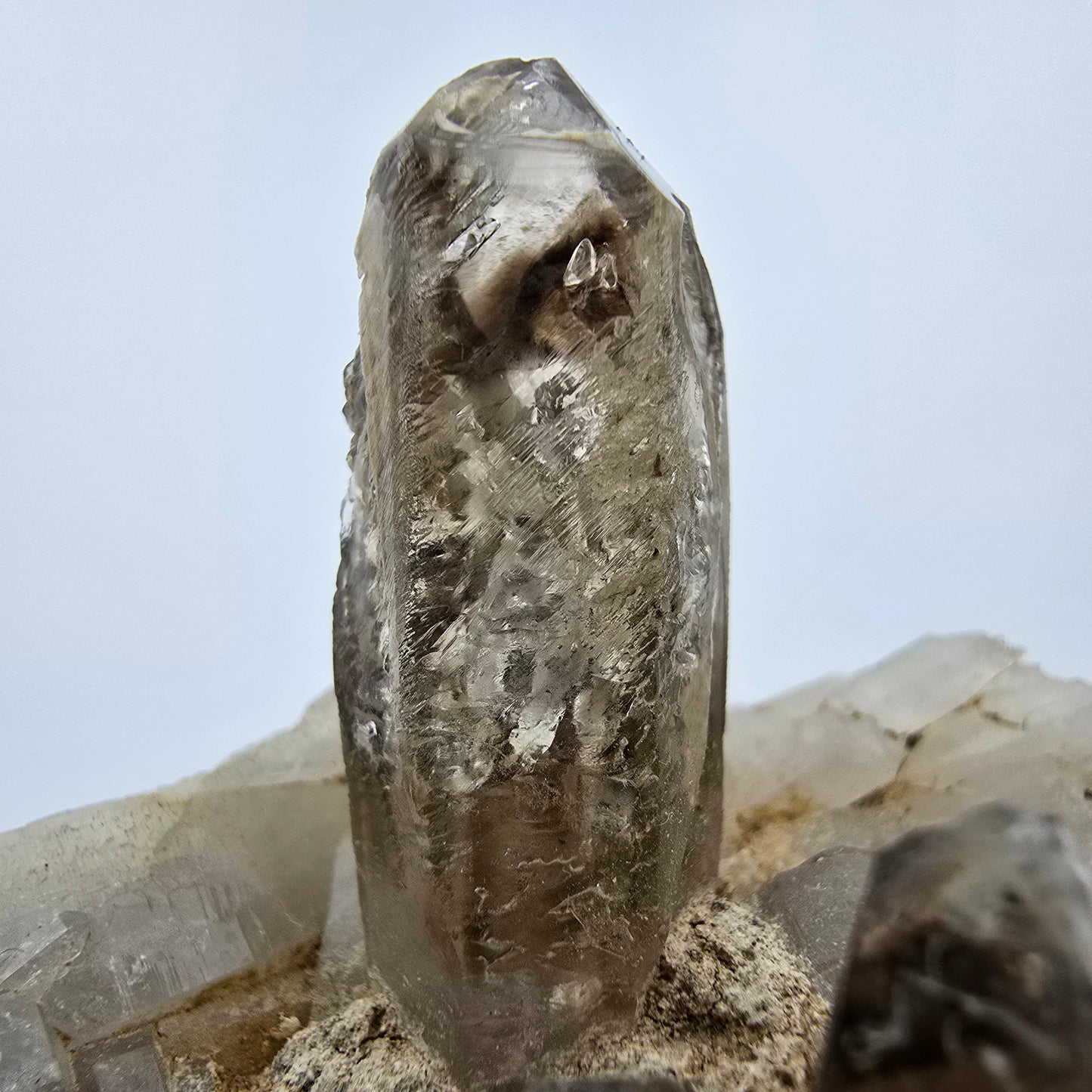 Phantom Rauchquarz Zepter auf Matrix Goboboseb, Namibia 57*51*47mm Sammlung