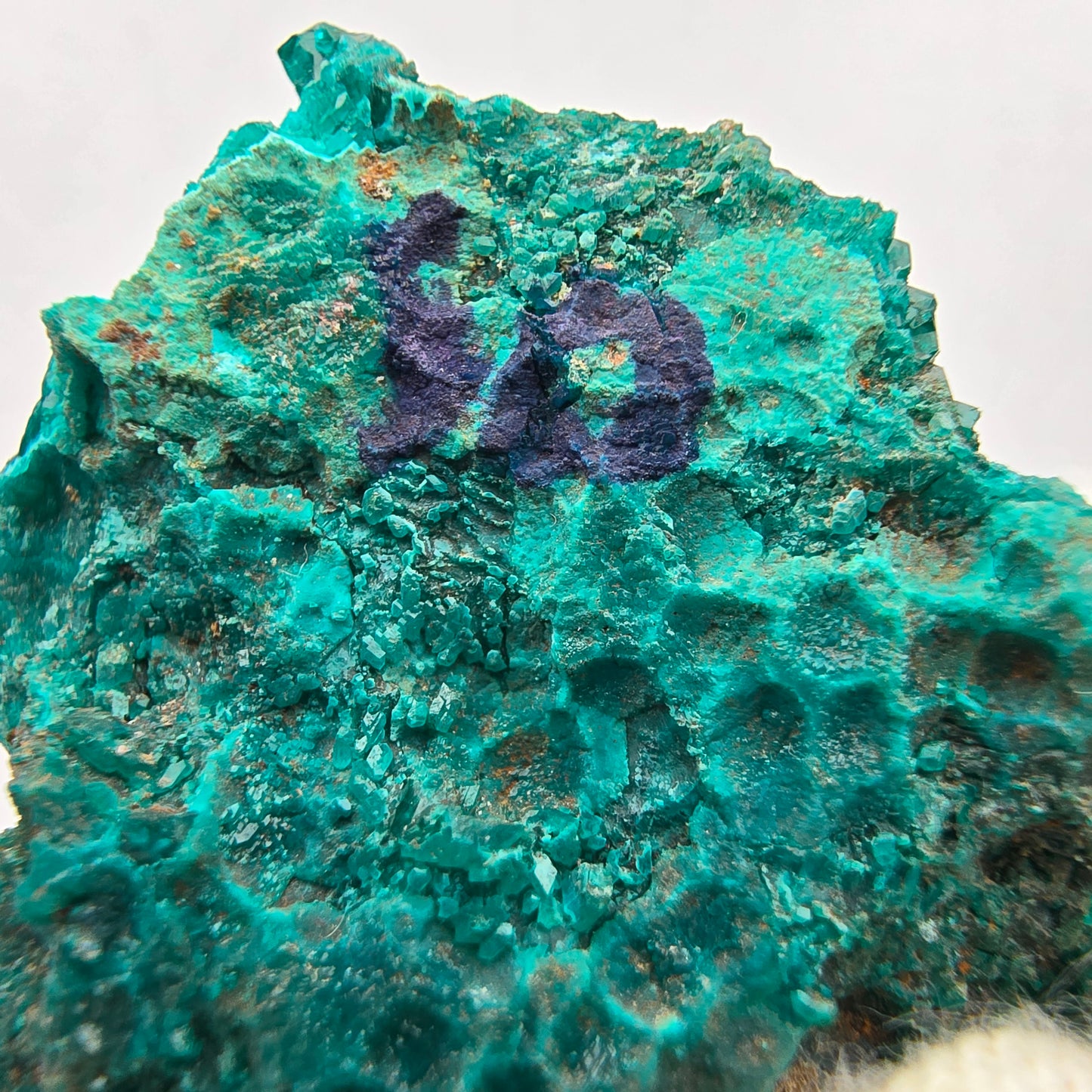 Seltene Diotas XX mit Azurit Stufe Kaokoveld, Namibia 33*30*8mm Sammlung