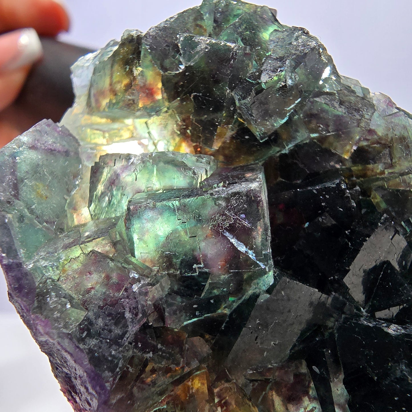 Rare spécimen de cube de fluorite fantôme, vert violet Okorusu Namibie 80*43*17 mm