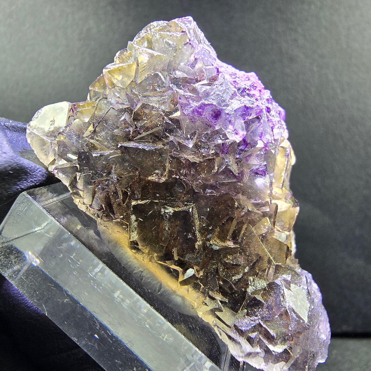 Seltene Honey Pocket Phantom Fluorit XX Würfel Stufe 46*22*23mm Okorusu, Namibia