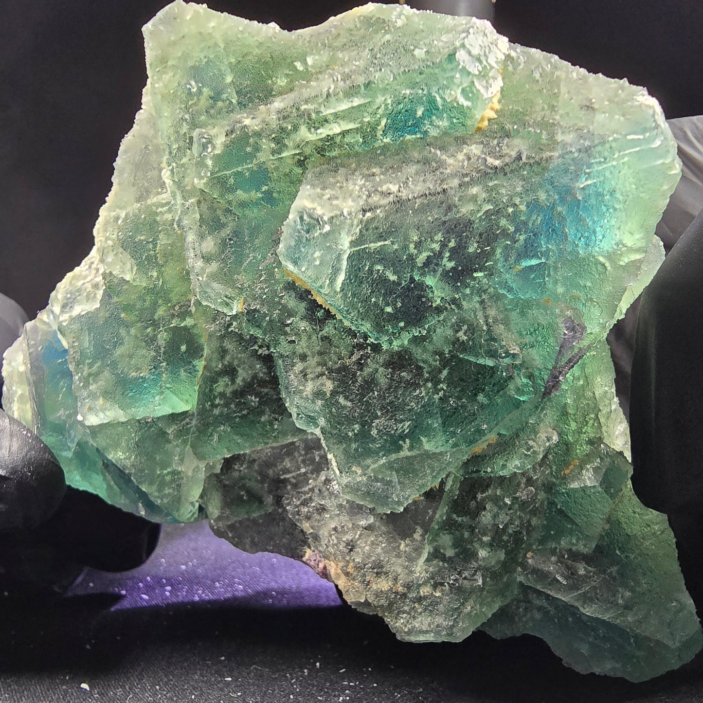 Große Phantom Fluorit XX Oktaeder Stufe grün blau 110*77*71mm aus Erongo Namibia