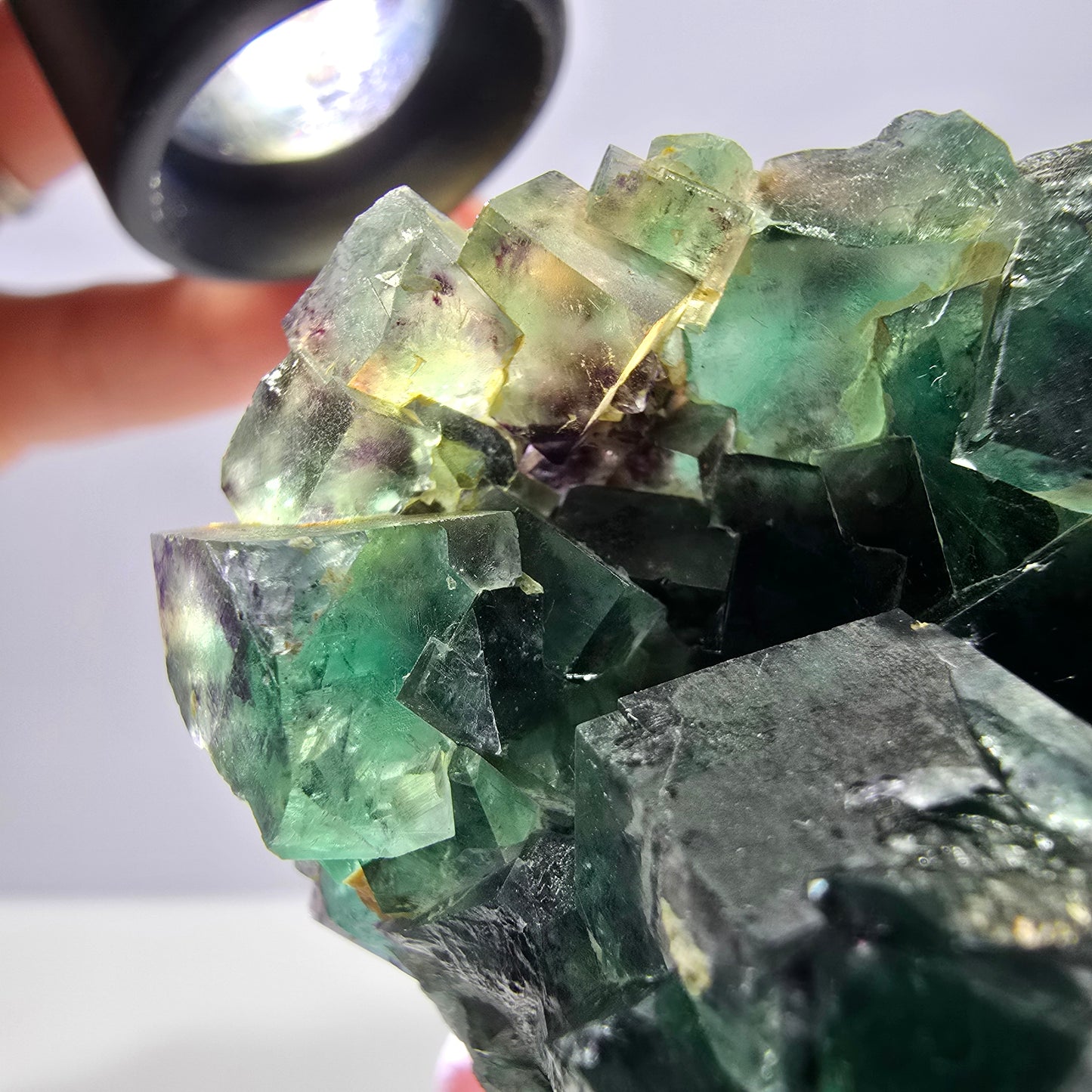 Spécimen de cube de fluorite fantôme parqueté vert violet Okorusu, Namibie 55*48*39mm
