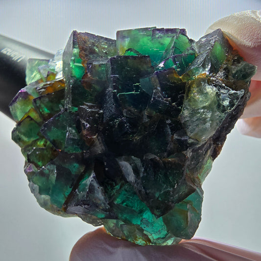 Seltene Phantom Fluorit Würfel Stufe, grün lila Okorusu, Namibia 63*56*21mm #13032
