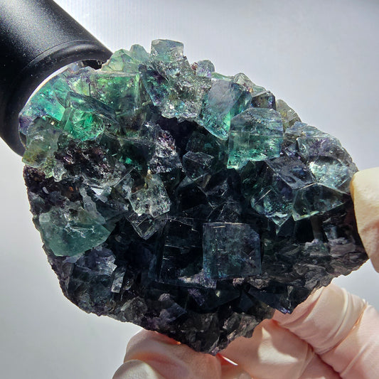Seltene Phantom Fluorit Würfel Stufe, grün lila Okorusu, Namibia 69*53*39mm #13038