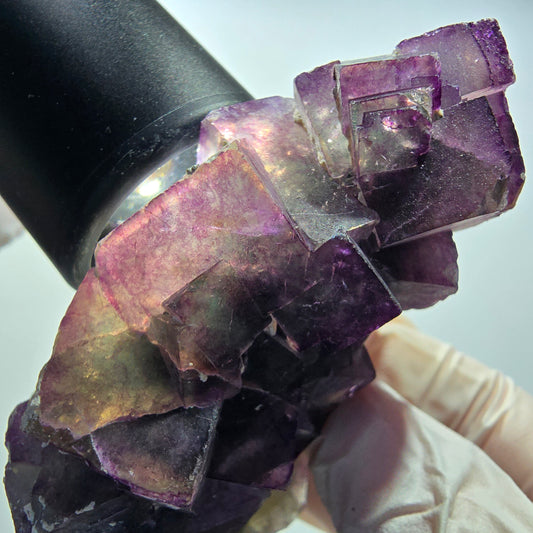Seltene Phantom Fluorit Würfel Stufe, grün lila Okorusu, Namibia 80*48*32mm #13040