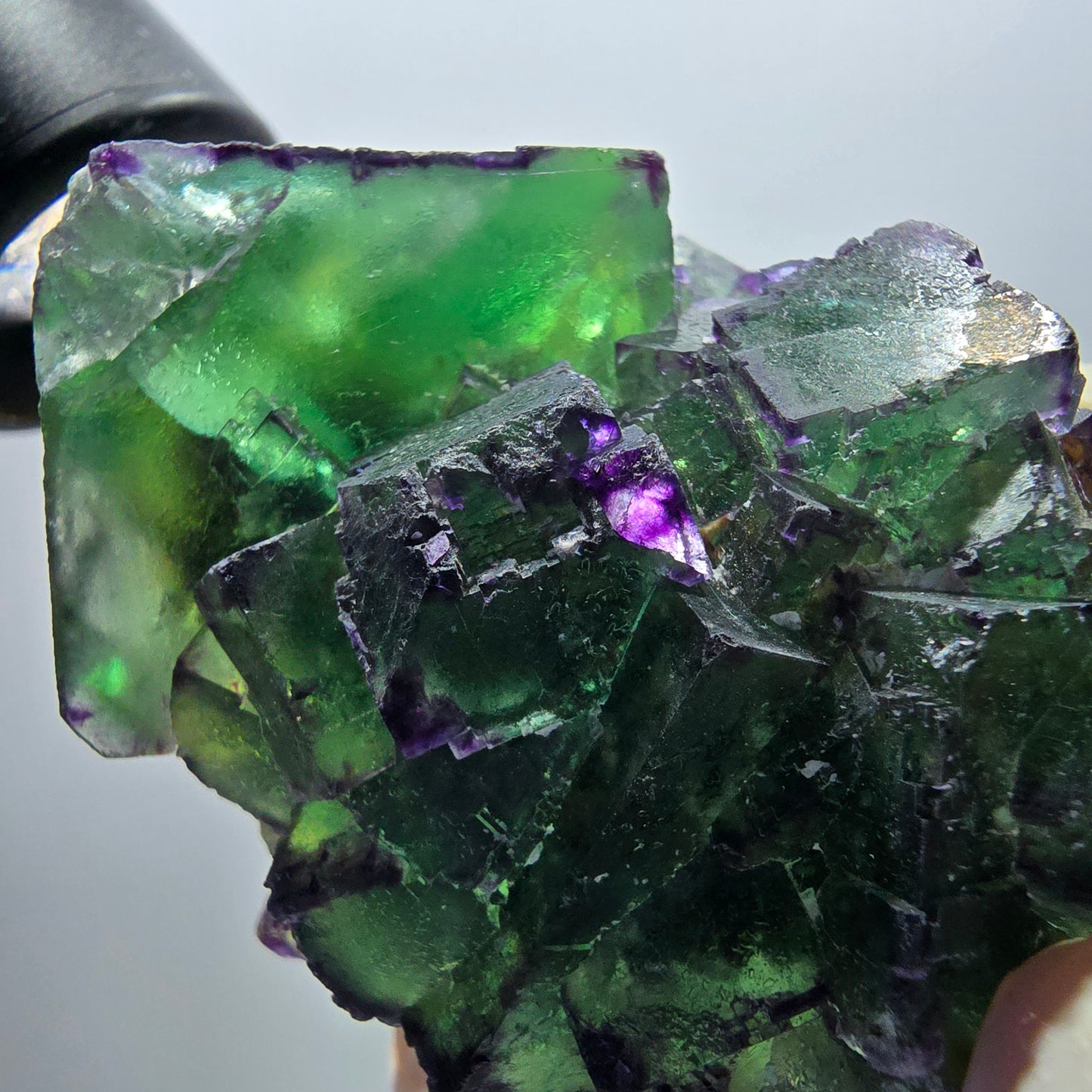 Phantom Fluorit Würfel Stufe, zonal, parkettiert grün lila Okorusu, Namibia 70*50*38mm #13051