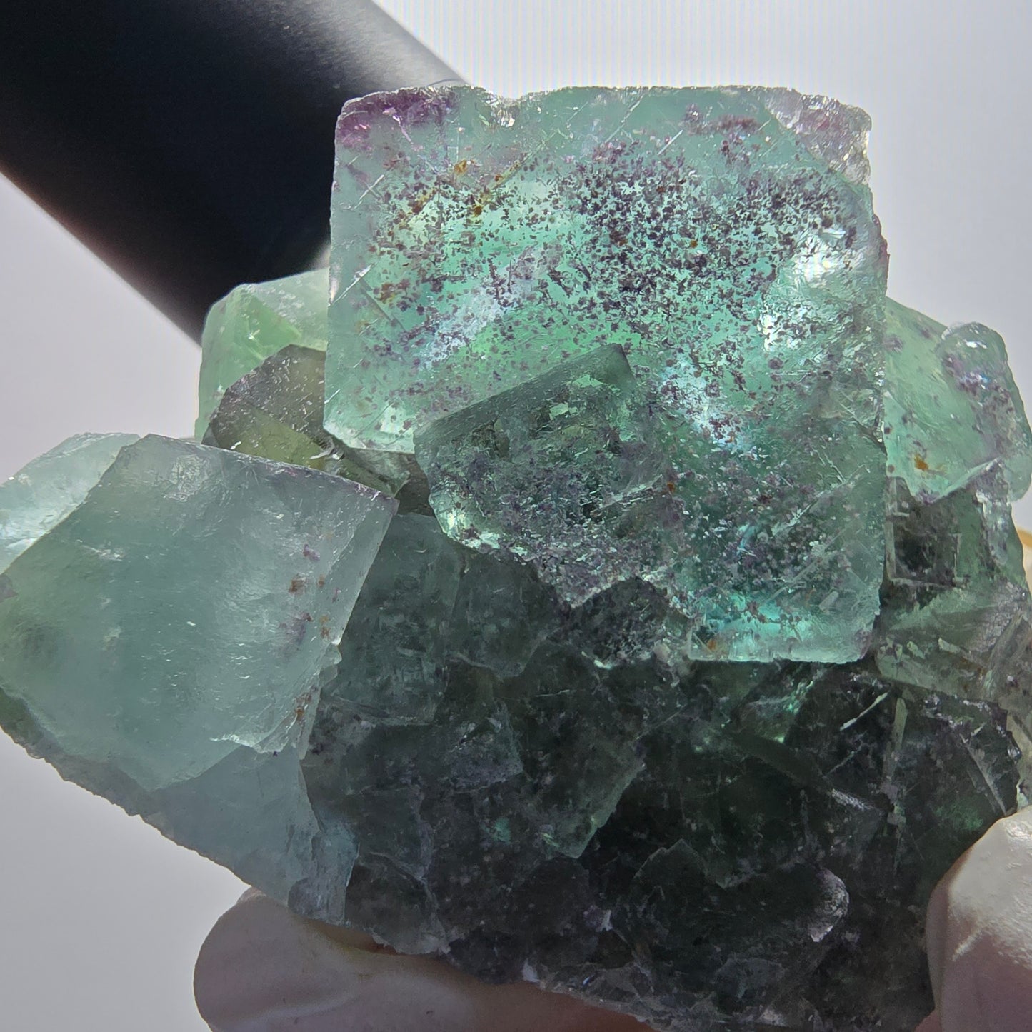 Phantom Fluorit Würfel Stufe, parkettiert grün Okorusu, Namibia 67*55*39mm #13058