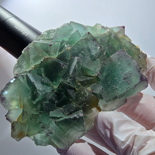 Phantom Fluorit Würfel Stufe, zonal, parkettiert Okorusu, Namibia 122*77*32mm #13074