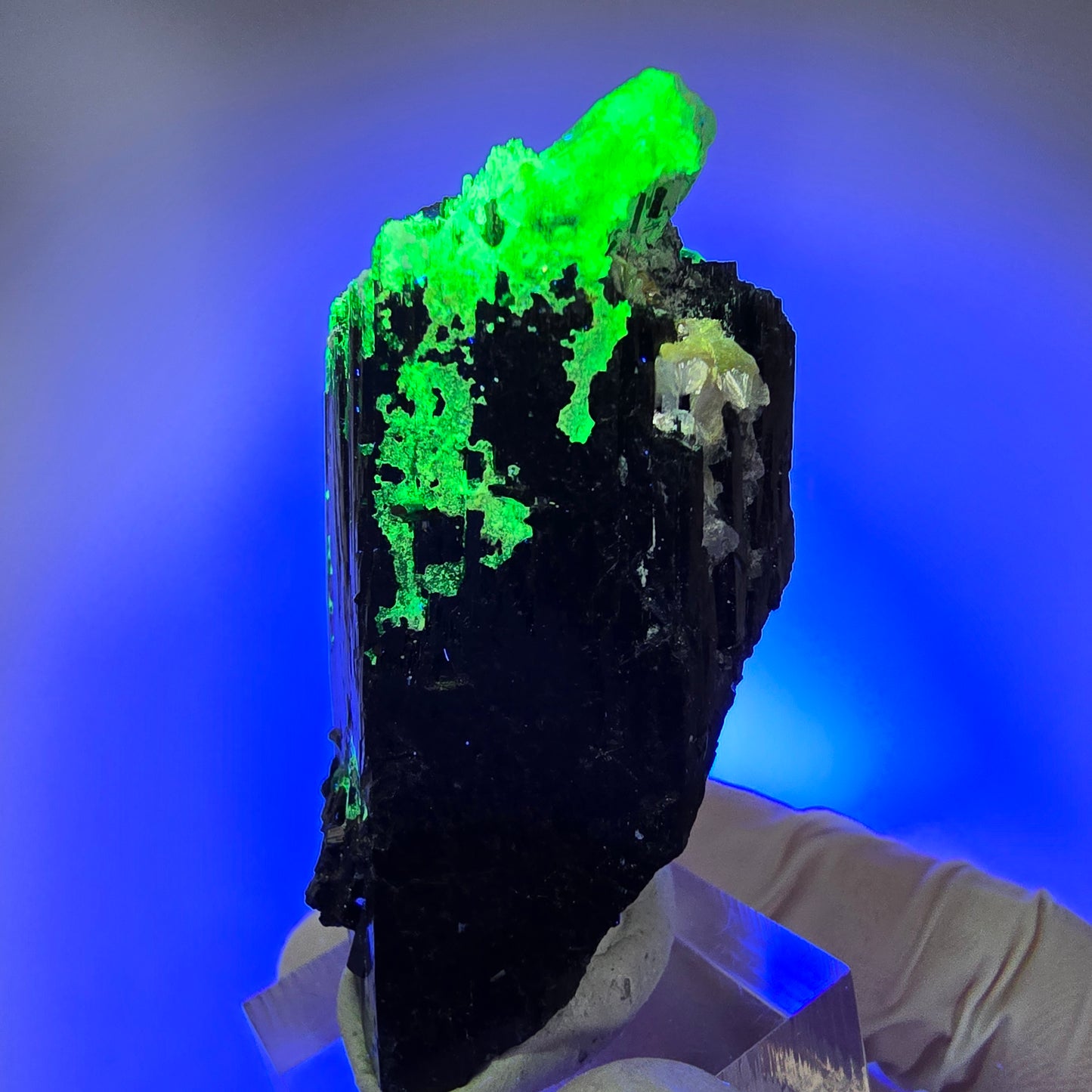 Phantom Fluorit, Hyalit, Schörl Turmalin, Rauchquarz, Muskovit Erongo, Namibia 57*25*24mm #13175