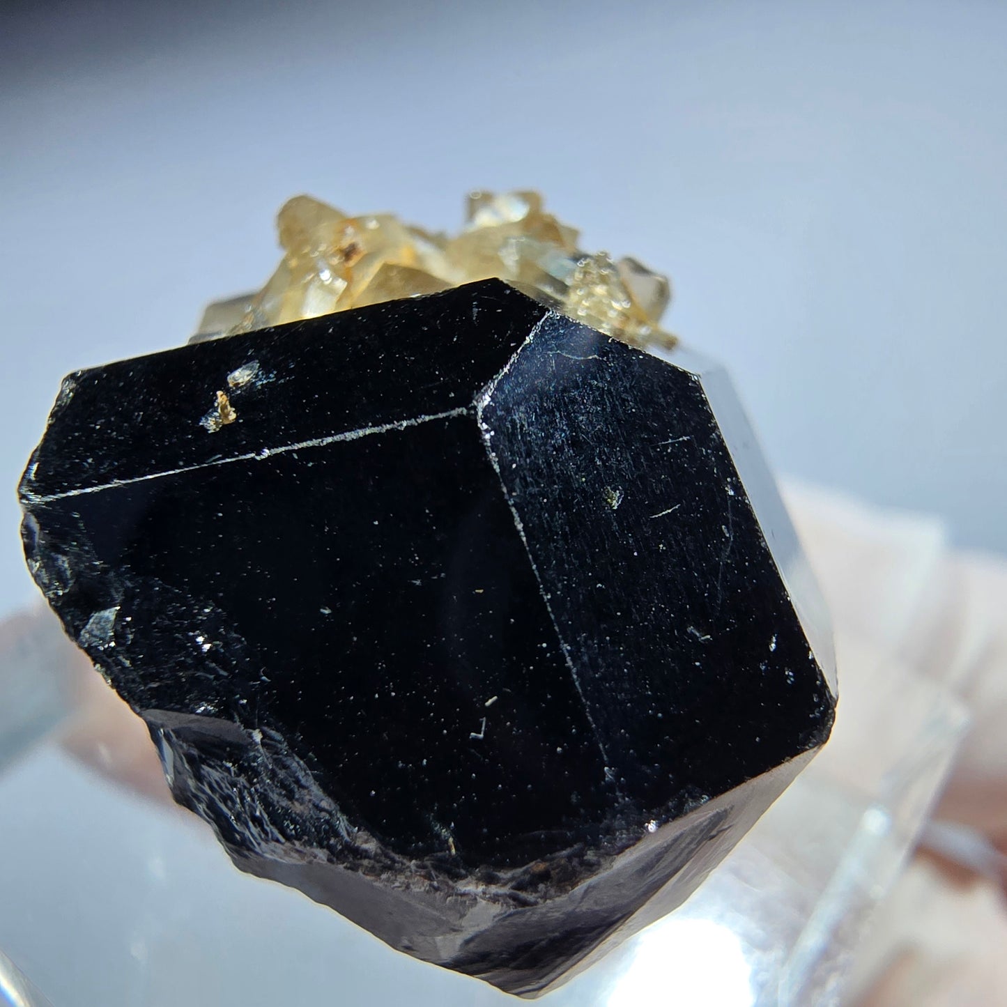 Symmetrische Schörl Turmalin, Rauchquarz Stufe Erongo, Namibia 22*20*17mm #13211