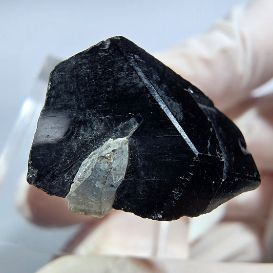 Symmetrische Schörl Turmalin, Rauchquarz Stufe Erongo, Namibia 24*20*14mm #13215