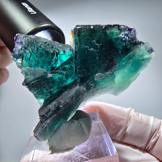 Phantom Fluorit Würfel Stufe, parkettiert Okorusu, Namibia 52*38*28mm #13264