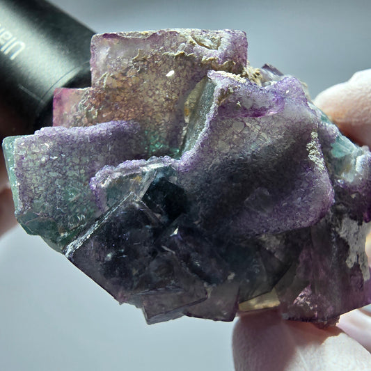 Seltene Phantom Fluorit Würfel Stufe, grün lila Okorusu, Namibia 58*38*30mm #13269