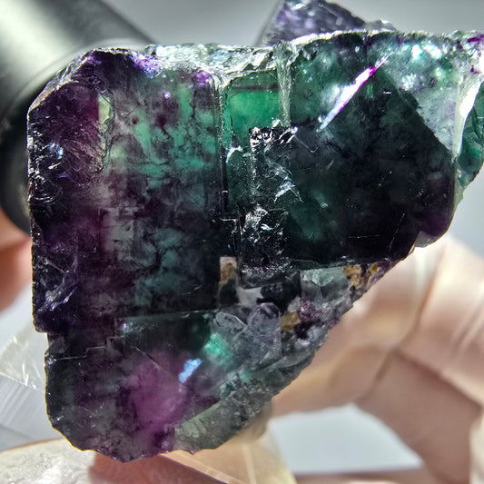 Seltene Phantom Fluorit Würfel Stufe, grün lila Okorusu, Namibia 51*44*27mm #13276