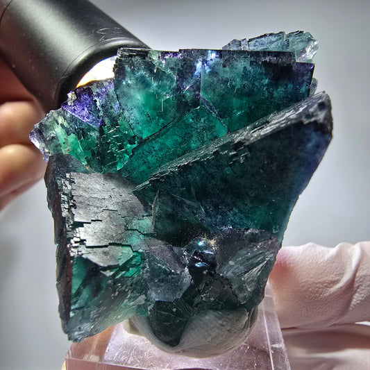 Phantom Fluorit Würfel Stufe, parkettiert Okorusu, Namibia 62*50*32mm #13281