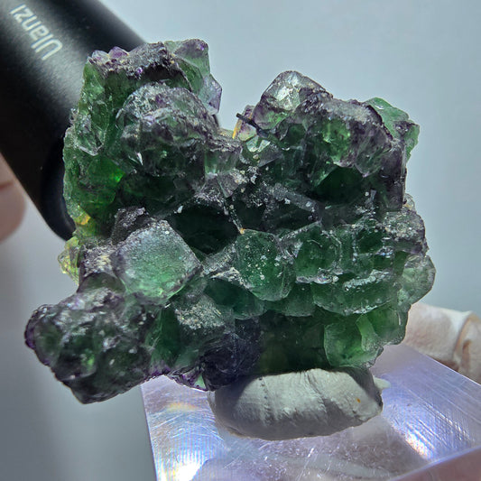 Phantom Fluorit, Schörl Turmalin, Muskovit Stufe Erongo Namibia 42*38*20mm #13329