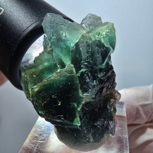 Seltene Phantom Fluorit Würfel Stufe, grün Okorusu, Namibia 33*26*22mm #13333