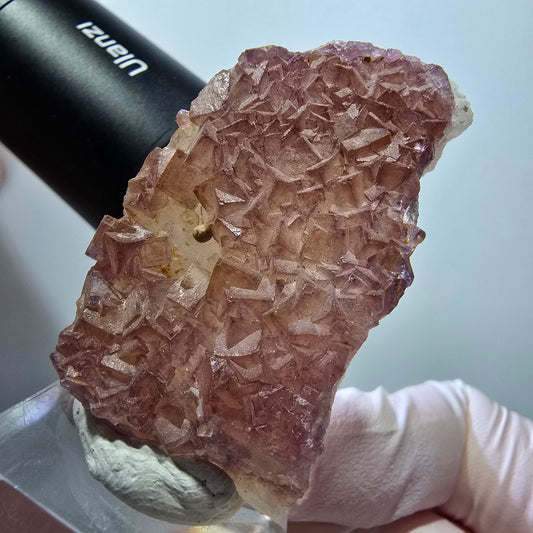 Seltene Phantom Fluorit Würfel auf Quarz Stufe, lila gelb Omehane, Namibia 49*30*15mm #13338