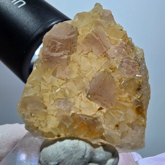 Seltene Phantom Fluorit Würfel auf Quarz Stufe, lila gelb Omehane, Namibia 36*27*13mm #13345