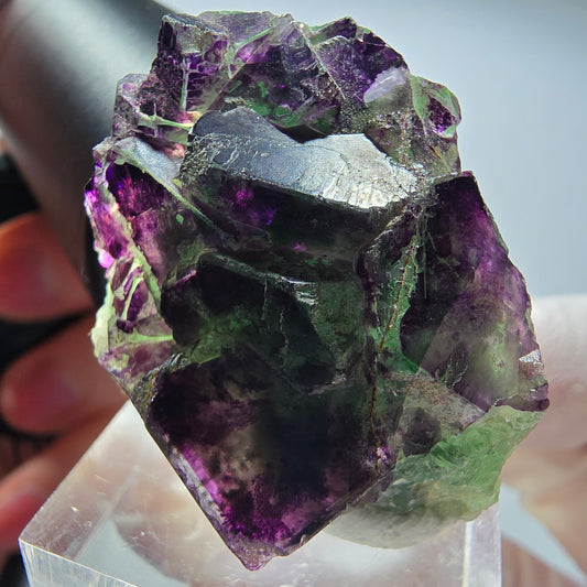 Rare Phantom Fluorite Cube Specimen, green purple Okorusu, Namibia 39*28*20mm #13444