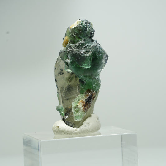 Phantom Fluorit, Schörl Turmalin, Hyalit, Rauchquarz, Muskovit Erongo, Namibia 18*11*8mm #13553