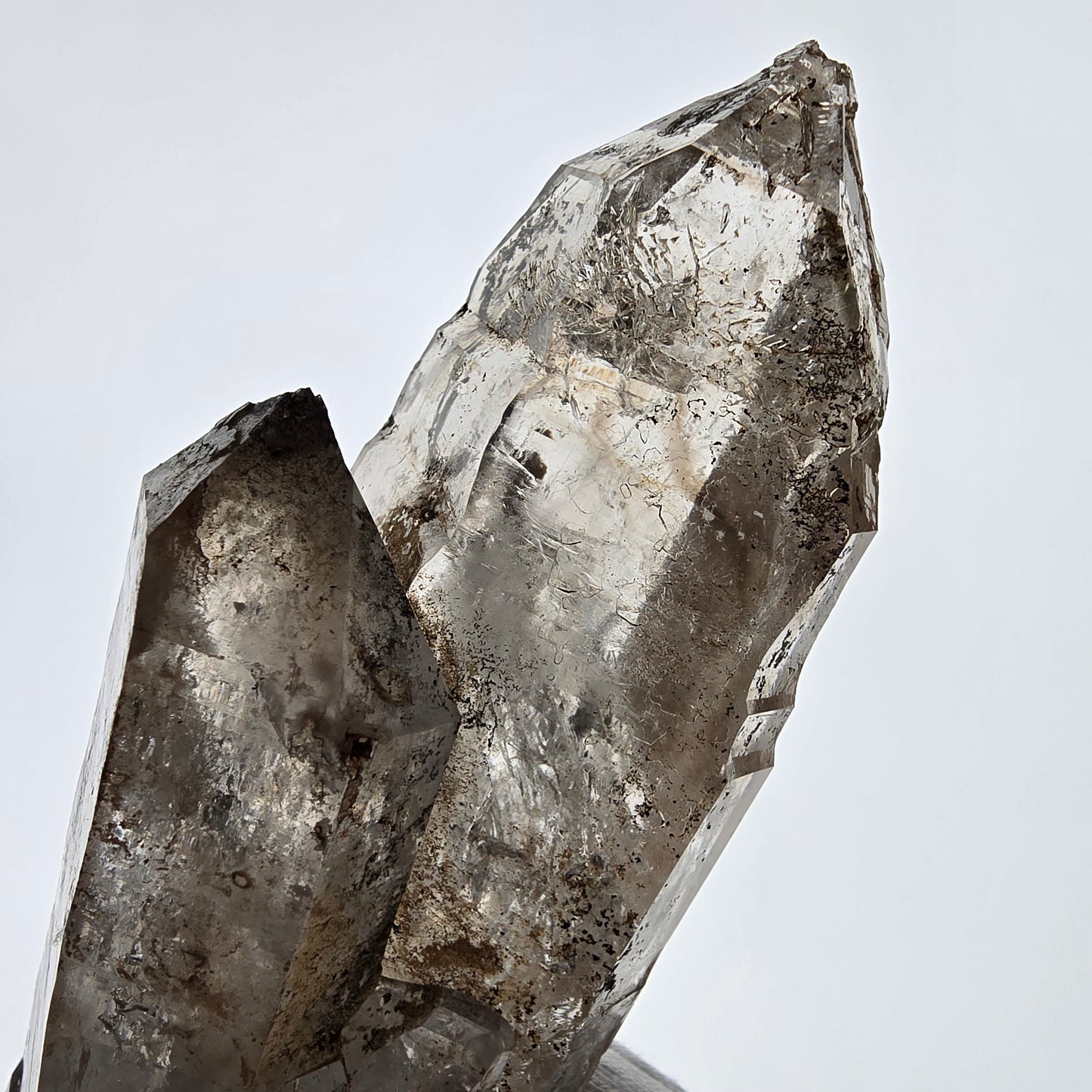 Sceptre XL Enhydro Skeleton Smoky Quartz DT, 4x Bubble Valentine Pocket, Namibie 233 x 54 x 47 mm