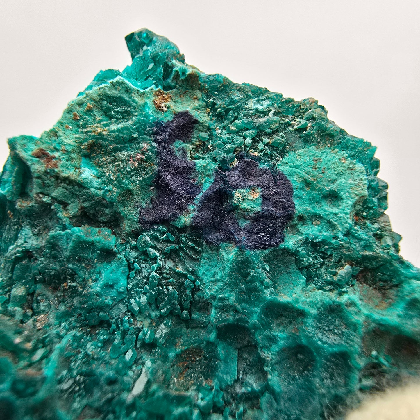 Seltene Diotas XX mit Azurit Stufe Kaokoveld, Namibia 33*30*8mm Sammlung