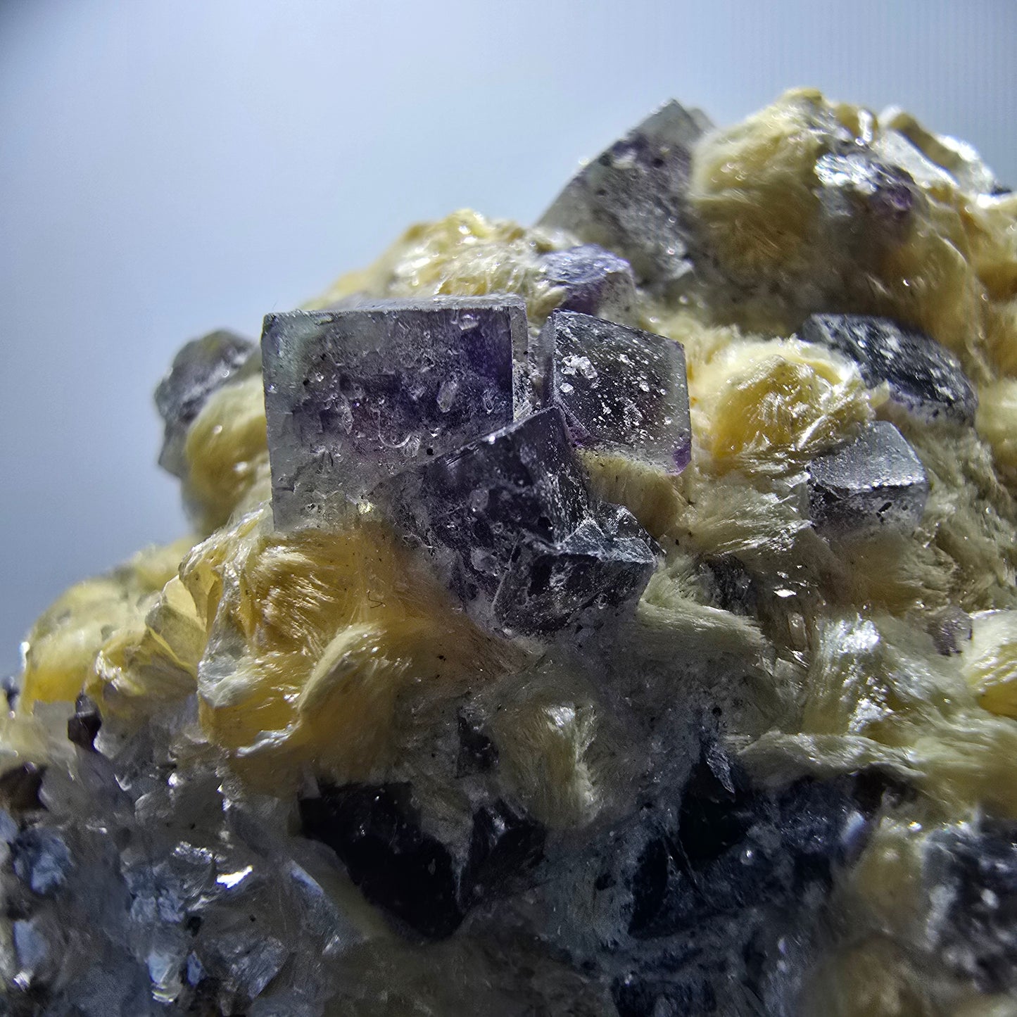 Cubes de fluorite fantôme colorés, spécimen de muscovite, Erongo, Namibie, 71 x 56 x 35 mm